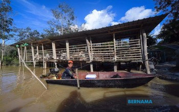 Inondations : L’agriculture, la pêche et l’élevage enregistrent des pertes de plus de 90 millions de RM